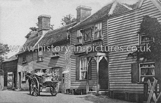 The Owl, Public House, Chingford. c.1905